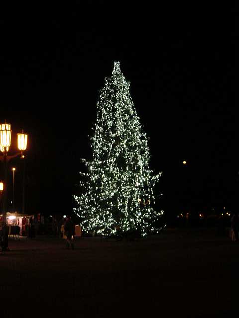Picture 043.jpg